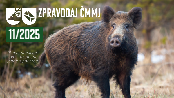 Zpravodaj 11-25.png